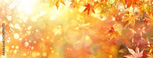 Autumn background with blurred bokeh of autumn leaves on tree branch in park