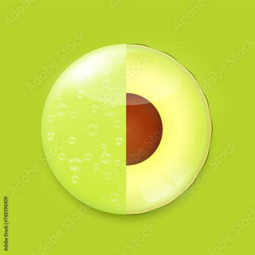 Fresh avocado slice and green serum gel solution. Fruits citrus rich in vitamins minerals. High Density Lipoprotein HDL natural supplements. Vector EPS10 illustration.