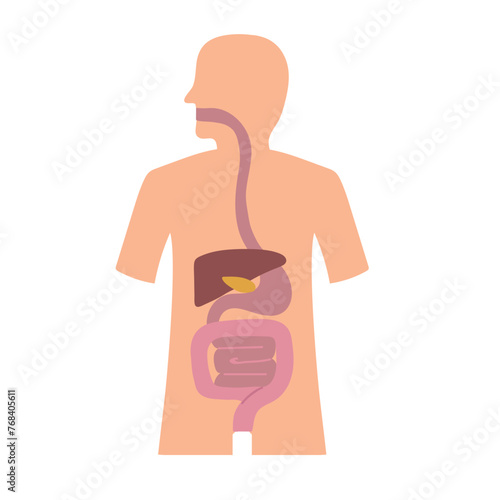 Digestive system icon clipart avatar logotype isolated vector illustration