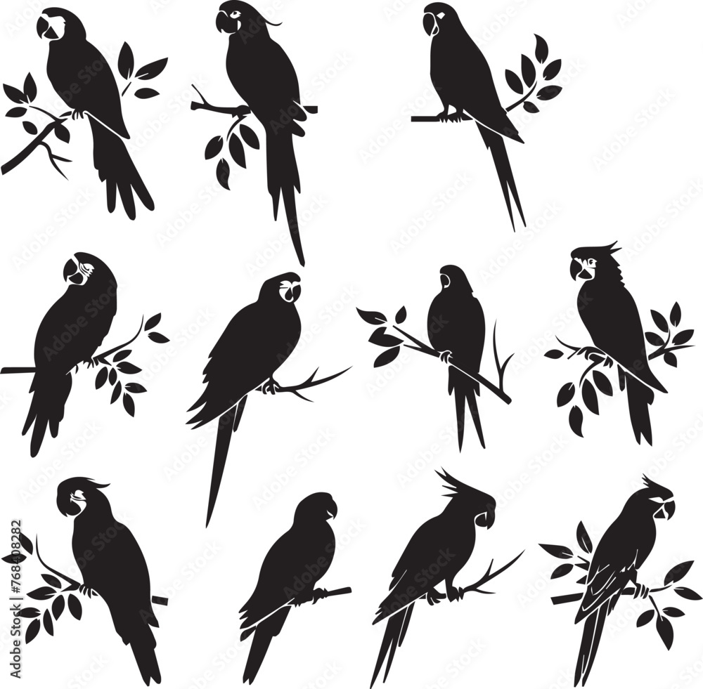 Obraz premium Set of black Silhouette Parrot on a branch
