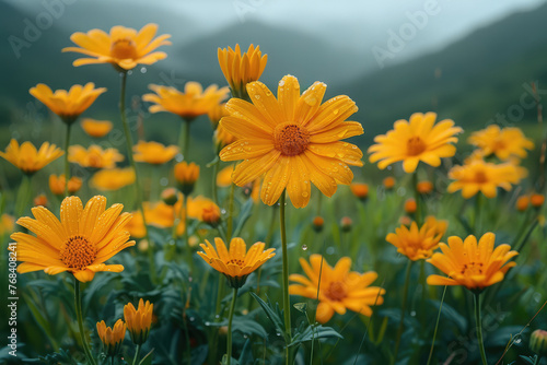 A field of yellow daisies in full bloom, with mountains and clouds visible behind them. Created with Ai © Design