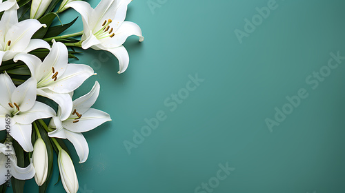 Lily flowers in bloom with ample space for text photo
