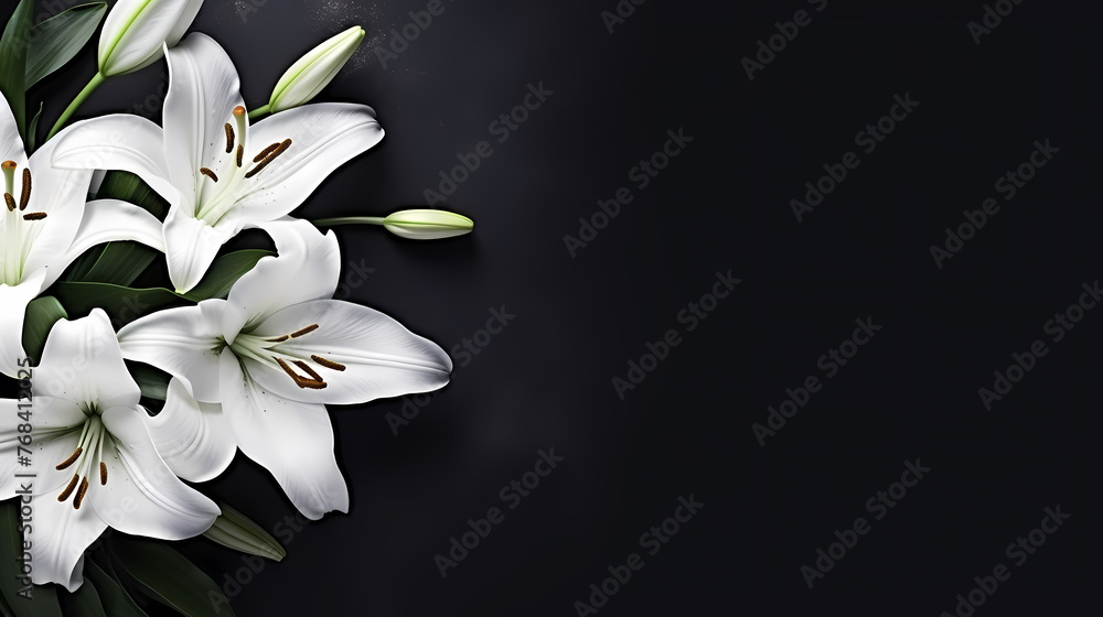 Lily flowers in bloom with ample space for text Lily flowers in bloom with ample space for text
