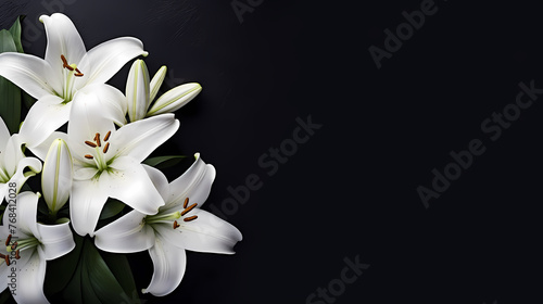 Lily flowers in bloom with ample space for text