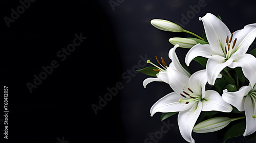 Lily flowers in bloom with ample space for text