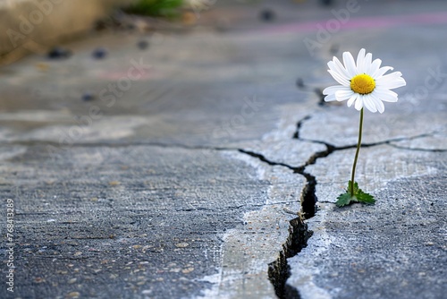 Flower Power: A Dandelion's Struggle to Survive in a Cracked Concrete World Generative AI