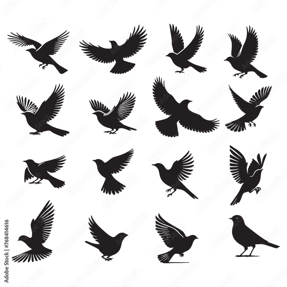 set of birds silhouettes on white set of birds silhouettes on white