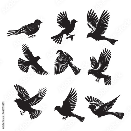 set of birds silhouettes on white