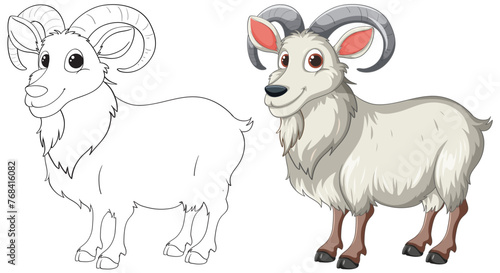 Vector illustration of a ram, colored and outlined