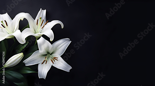 Lily flowers on pastel background © Derby