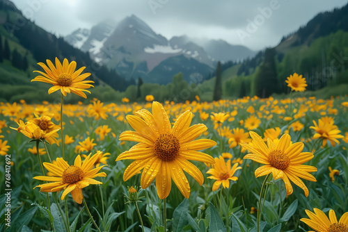 In the high mountains of Colorado, there is an endless sea of yellow sunflowers blooming in full bloom. Created with Ai