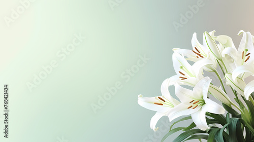 Beautiful lilies on the background