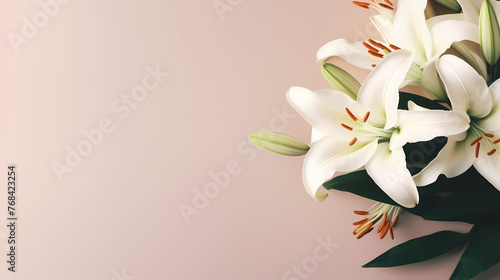 Beautiful lilies on the background