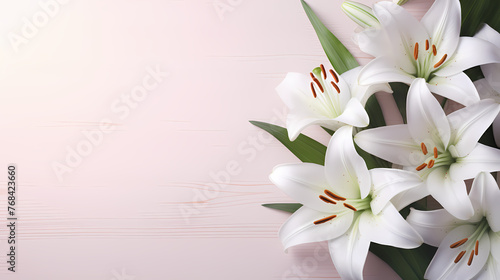 Beautiful lilies on the background