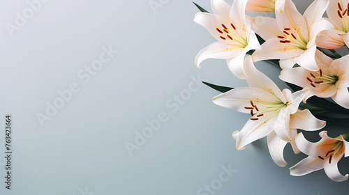 Beautiful lilies on the background