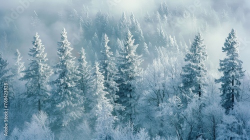 A of evergreen trees stands tall and proud their needles encased in ice creating a delicate and ethereal appearance.