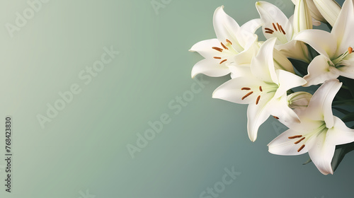 Beautiful lilies on the background