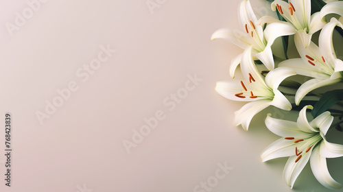 Beautiful lilies on the background