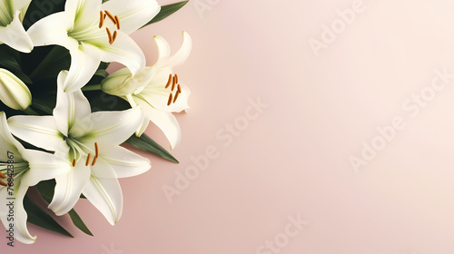 Beautiful lilies on the background