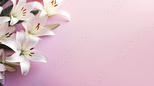 Beautiful lilies on the background