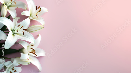 Beautiful lilies on the background