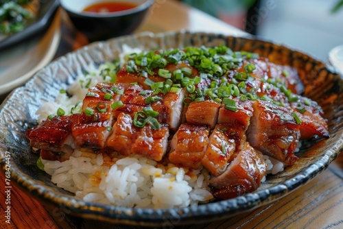 A plate of meat and rice with green onions on top