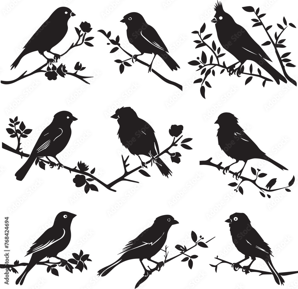 Silhouette of Sparrow birds on the branch white background	
