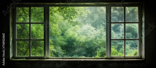 Through the window  a detailed close-up reveals a serene view of a lush forest with tall trees and greenery