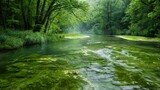 A murky green river flows lazily through a wooded landscape its surface marred by slimy globs of toxic algae.