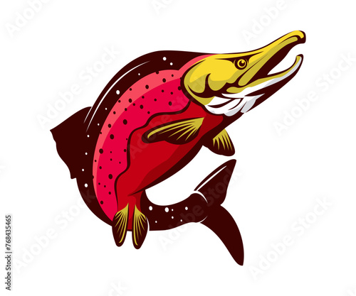 Vibrant Sockeye Salmon: Detailed Vector Illustration of Iconic Pacific Species
