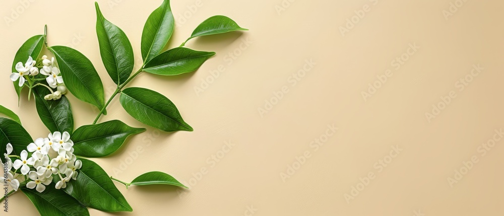  Beige background with green leaves, white flowers, and space for text or image