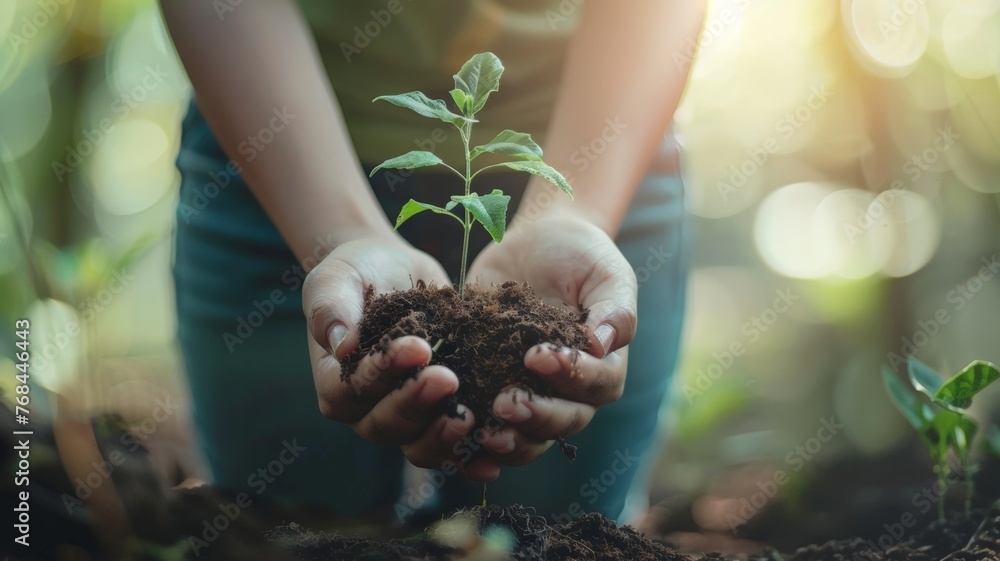 Fototapeta premium world environment day concept girl holding a small tree.