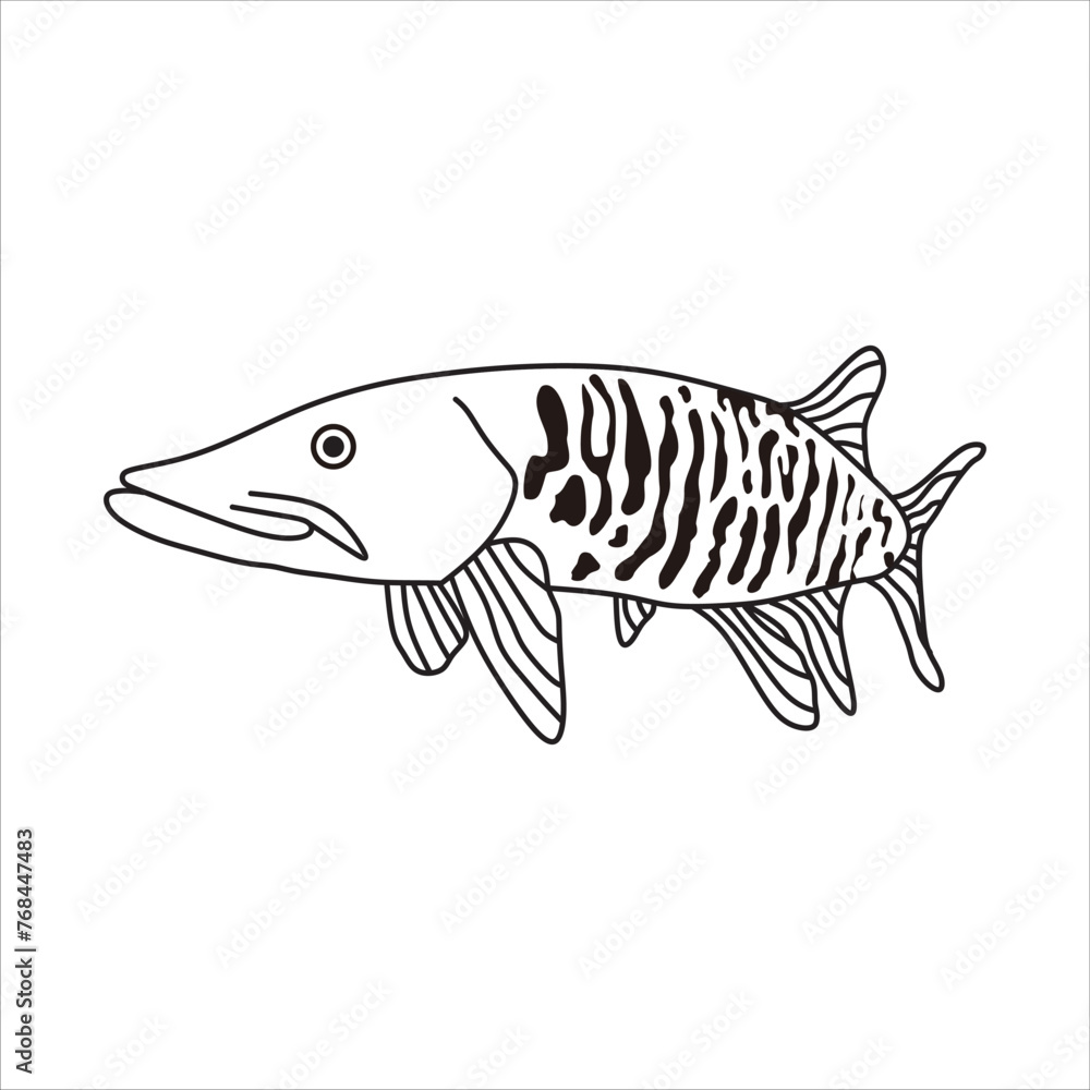 Illustration of a striking Muskellunge fish, displaying its distinctive patterns and predatory demeanor. Ideal for fishing enthusiasts, wildlife designs, and aquatic-themed projects. Illustration of a striking Muskellunge fish, displaying its distinctive patterns and predatory demeanor. Ideal for fishing enthusiasts, wildlife designs, and aquatic-themed projects.