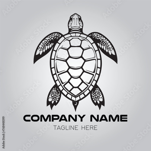 Turtle logo company design vector image on the white background