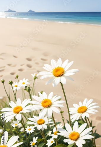 daisy on the beach © BOJOShop