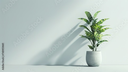 Potted plant isolated on white background ,Generative ai,  © curek