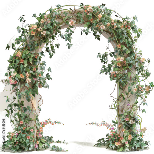 an archway of vines and flowers on isolated alpha, transparent white background png