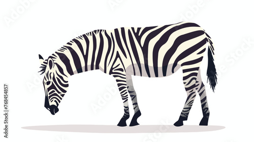 Africa animals zebra simple vector illustration flat vector
