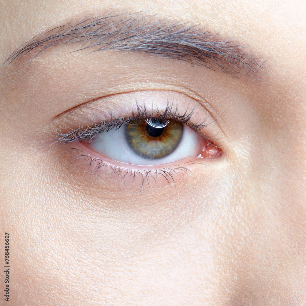 Closeup macro shot of human female eye. Woman with nude makeup of eyes or no makeup. Closeup macro shot of human female eye. Woman with nude makeup of eyes or no makeup.