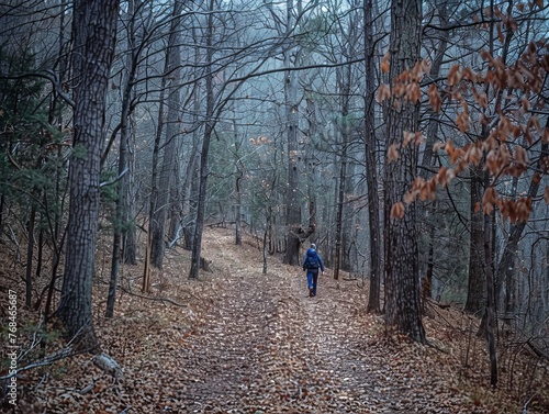 A lone hiker exploring the enchanting beauty of a dense forest landscape. © Bendix