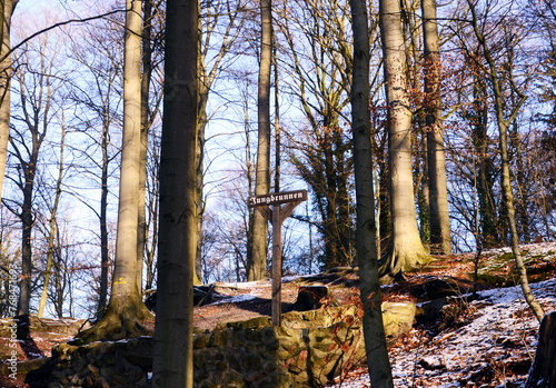 Landscape in Winter in the Forest Eckernworth in the Town Walsrode, Lower Saxony