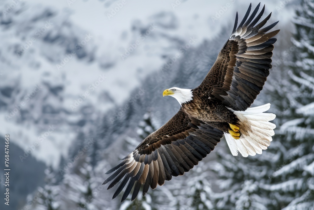 Fototapeta premium A majestic mountain eagle in flight, dynamic and powerful