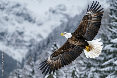 A majestic mountain eagle in flight, dynamic and powerful