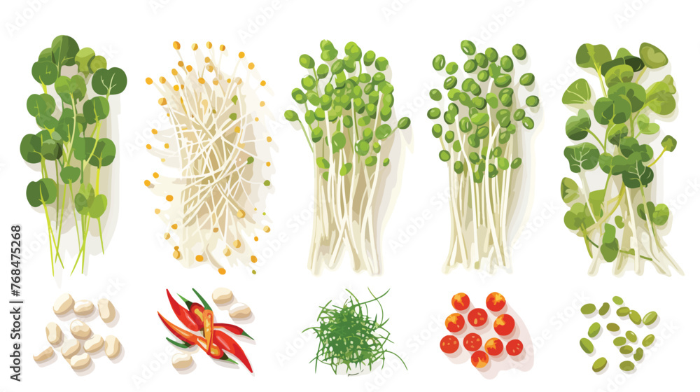 Bean Sprouts and fresh vegetable prepare for cooking - obrazy, fototapety, plakaty 