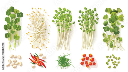 Bean Sprouts and fresh vegetable prepare for cooking photo