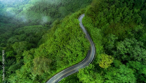 Enchanted Drive: Aerial View of Meandering Road Amid Rainy Foliage