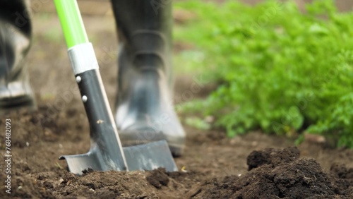 farmer digging soil shovel, agriculture, digging ground shoveled foot rubber boots, shovel garden work, tilling farm land, gardening business venture, vegetable garden planting, agricultural field