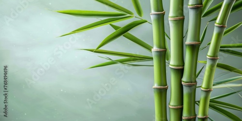 Freshness Embodied  Dewy Bamboo Shoots Emerge  Symbolizing Growth and Natural Serenity  Generative AI