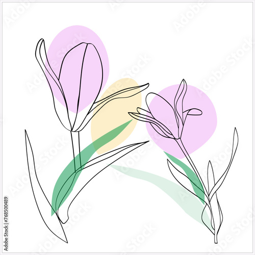 Tulips seamless pattern. Image on a white and colored background.