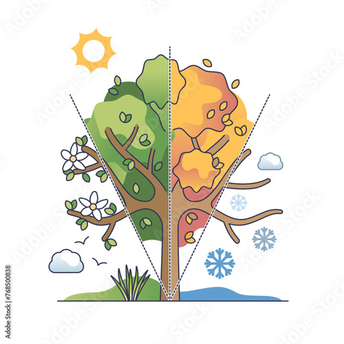 Seasonal cycles and nature changes with weather variety outline diagram, transparent background. Four season tree with blooming in spring, lush in summer.